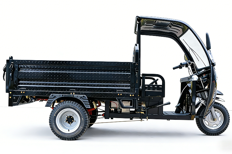 Promotional Gas Powered Motorized Cargo Tricycle/three Wheel Van Cargo Tricycle