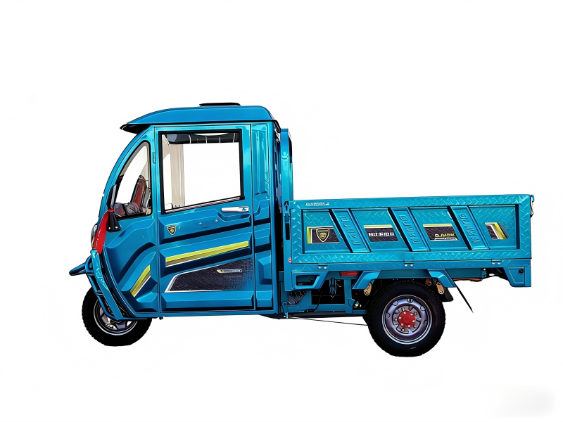 SAIGE Sale of Electric Cargo Tricycles Three-wheeled Motorcycles Electric Tricycles