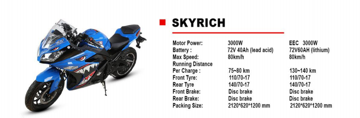 electric motorcye